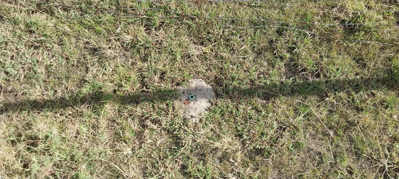 Koma Greens, Komarock